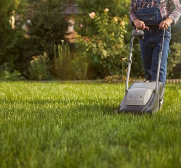 Lawn-Maintenance1 Lawn-Maintenance1