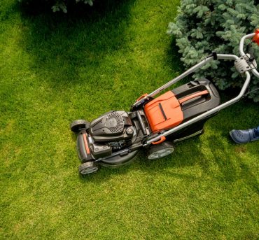 tumblr_o6q4ycAodI1sfyngeo2_1280@2x tumblr_o6q4ycAodI1sfyngeo2_1280@2x